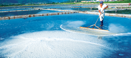 The Power of Bamboo Salt: The Active Ingredient in Our Ionic Trace Minerals